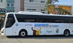 “자식보다 낫당께”… 해남 ‘물리치료버스’ 인기