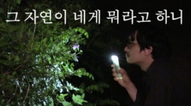 홍상수 감독 신작 5월 개봉… 득남 김민희 제작실장으로 참여