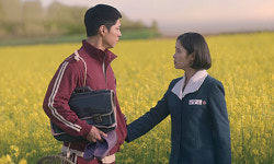 관식·애순 유채꽃밭서 ‘인생샷’… 제주에 폭싹 빠졌수다 [지방기획]