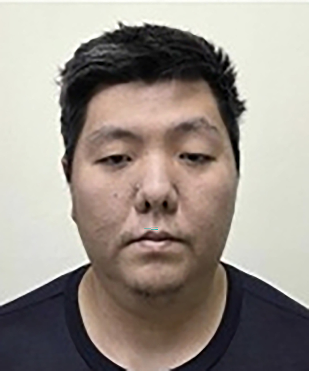 미아동 마트 흉기 살인사건, 검찰이 사이코패스로 지칭한 김성진 구속 기소