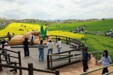 제22회 고창 청보리밭축제 51만명 방문 “폭싹 속았수다”