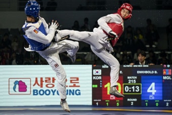 세계 태권도 메이저 대회, 무주 태권도원에서 연속 개최 확정