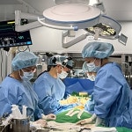 넬동물의료센터, 복합형 심실중격결손(VSD) 외과적 교정 수술 성공