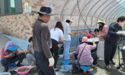 충주시, 어르신 소일거리로 마을 활력 찾는다