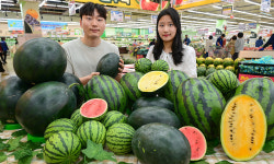 “흑피수박·애플수박… 다양한 수박 맛보세요”