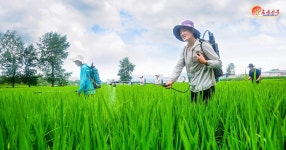 북한 노동신문에 실린 금주의 사진 뉴스 [NK 포토이슈]