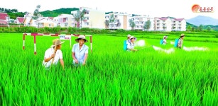 북한 노동신문에 실린 금주의 사진뉴스 [NK 포토이슈]