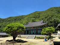 진정한 나를 찾는 떠나는 양평 사나사 여행 [최현태 기자의 여행홀릭]