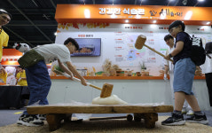 대한민국 농업박람회 [한강로 사진관]