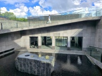 주황색 황화코스모스 따라오는 제주의 가을 [최현태 기자의 여행홀릭]