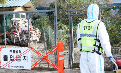 광주 기러기 농장서 H5형 조류인플루엔자 항원 검출... 방역 강화·살처분