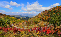 1호 관광도로… ‘지리산 풍경길’