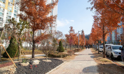 군산 폐철도 2.6㎞ 바람길숲으로 재탄생… 도심 생태축 완성