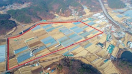 대구농수산물도매시장 달성 하빈면 이전 사업 예타 통과