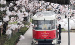 화랑대 철도공원·달빛산책 ‘로컬100’ 선정