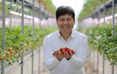 최적 온·습도 ‘데이터의 영농’… 사계절 철없이 빨간 맛 [밀착취재]