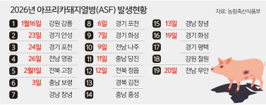 청정 전남 ‘ASF(아프리카돼지열병)’ 비상… 무안도 뚫렸다