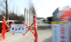 김제 산란계 농장서 AI H5형 항원 검출…고병원성 검사 중