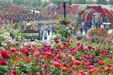 KBS 전국노래자랑, 28일 임실 치즈테마파크서 ‘팡파르’