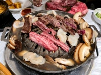 수줍은 애기동백 따라 정남진 장흥 서둘러 봄 오다 [최현태 기자의 여행홀릭]