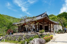 Ảnh kết quả tìm kiếm Naver 1
