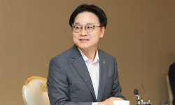 대미투자 1호 프로젝트, 에너지부문 유력