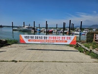 Foto aus Naver-Suchergebnissen 5
