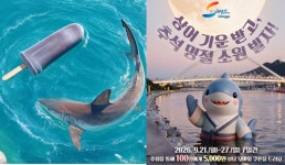 ‘상어 들어왔다, 노 저어라’…부산 북항 상어 ‘부캉이’ 열풍에 SNS ‘들썩’