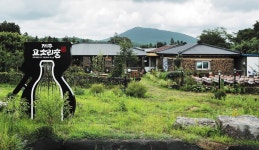 [friday] 차조로 빚는 오메기술·고소리술 양조 체험, 누룩 만드는 법 배워가는 2030도 많아요