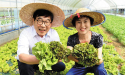 광주의 가을은 밥의 계절