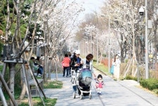 [걷다, 서울] 녹슨 철길이 청춘의 추억을 불러오는 경춘선숲길