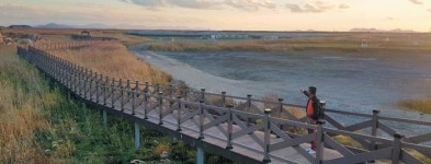 주민에게도 쉬쉬 국책사업 난맥… 새만금 태양광에 쏟아진 질타