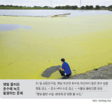 [논설실의 뉴스 읽기] 호수는 녹조, 패널은 새들의 화장실로… 친환경 내세운 수상 태양광의 그늘