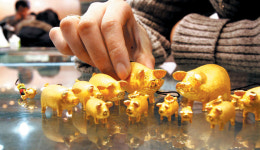 [아무튼, 주말] 결혼·출산 다~ 되지… 황금돼지해니까