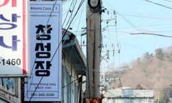 브랜드 전문가 손혜원의 절묘한 화법 “당은 나가지만 탈당은 아니다