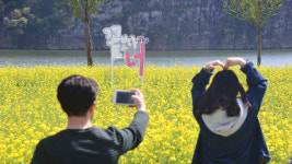봄이 실감 나는 유채꽃 밭길, 힐링 느끼고 가세요