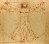 레오나르도 다빈치 인체비례도, 500주기 맞아 특별히 공개합니다