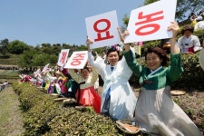'5월 축제' 통합한 보성군, 효과 쏠쏠..."770억 경제효과"