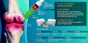 인보사 문제 美서 밝혀지자… 식약처, 재조사 두달만에 허가 취소