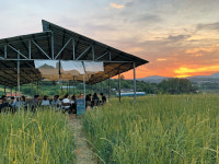 농장에서  파티를… 그 자체가 힐링의 시간