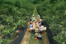 농장에서  파티를… 그 자체가 힐링의 시간