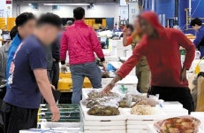 아프리카 상인이 생선 사세요… 여기 노량진 맞아요