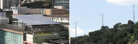 100년 돌려야 본전, 태양광 없애겠다