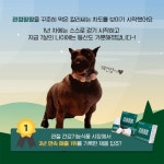 우리집 댕댕이 관절 건강 챙기는 법! 주인님과 오래오래 행복하게 살래요~