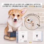 우리집 댕댕이 관절 건강 챙기는 법! 주인님과 오래오래 행복하게 살래요~