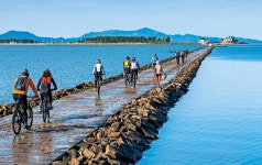다리 건너 파라다이스로… 섬들이 속삭인다