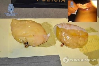 부산항에서 코카인 600kg을 적발한 사건 발생, 역대 최대 규모의 마약 밀반입 사례 발견