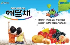 2019 소비자가 뽑은 올해의 브랜드대상 3년 연속 수상