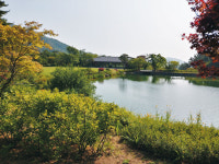 왼쪽엔 죽연지, 오른쪽엔 소나무 숲길… 초록에 흠뻑