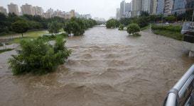 더 세진 링링, 시속 180㎞로 한반도 할퀸다